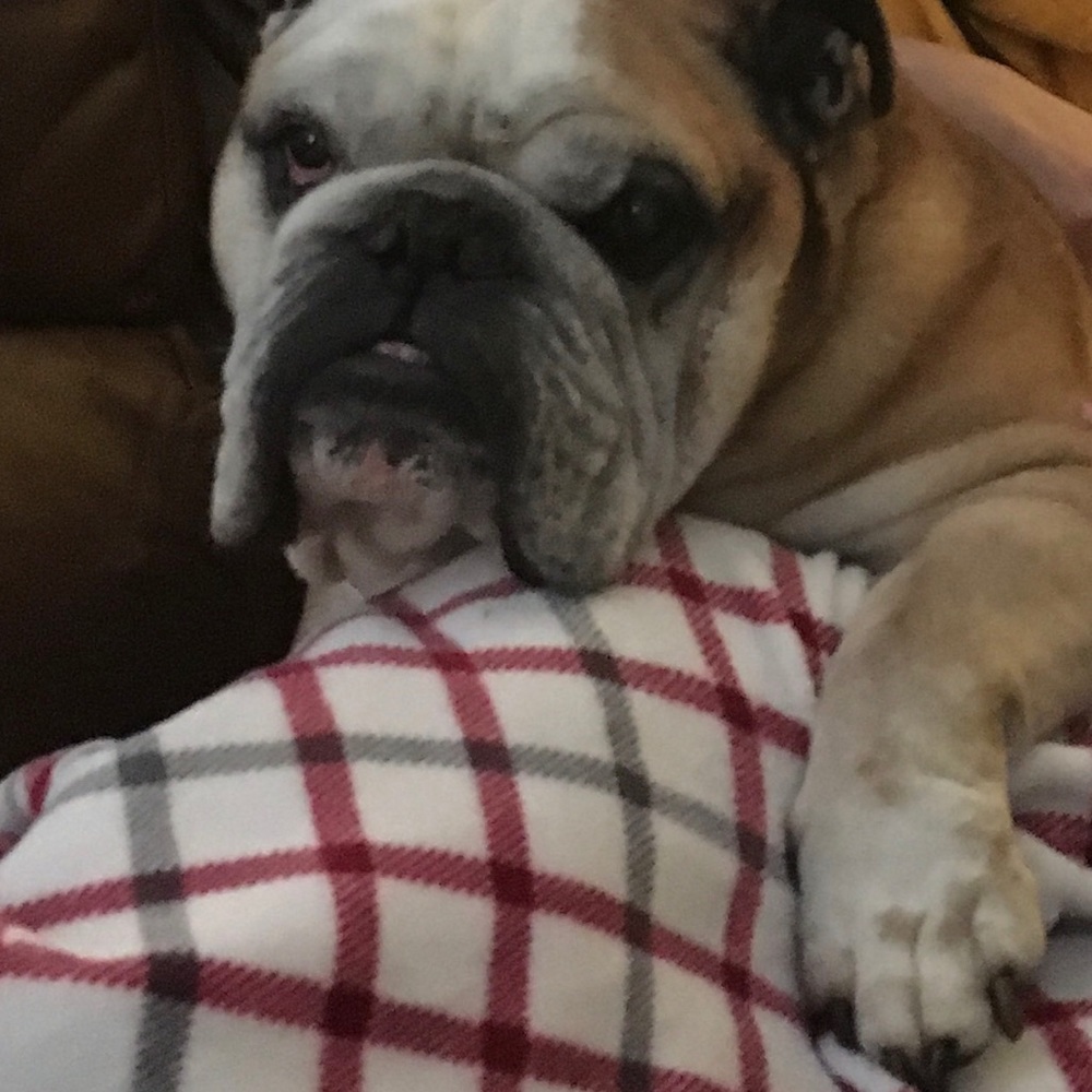 Meet your Posher, Kelly